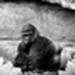 Profile Picture of Matt Clark (@mattyc972) on Flickr