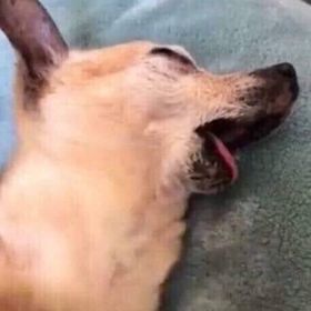 Profile Picture of Adilene Barrera Flores (@adileneispink) on Pinterest