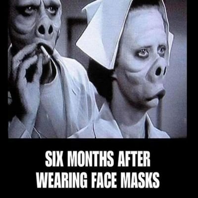 BetterShields.com - Twitter Profile Picture of BetterShields.com (@dillehay_james) on Twitter