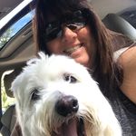 Profile Picture of Laura Guisti-McSweeney (@lguistimcsweeney) on Instagram