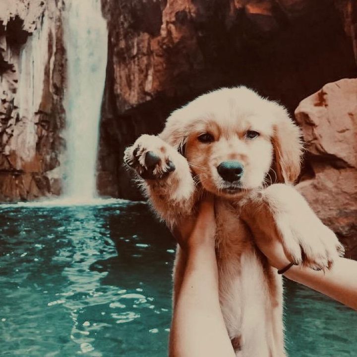 Profile Picture of ava sharpe (@ava...sharpe) on Tiktok