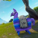 Profile Picture of Maxwell Irvine (@maxwell_playz_boyo) on Instagram