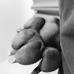 Profile Picture of Leah Thomson Snell (@leahthomsonsnell) on Instagram