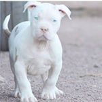 Profile Picture of Jean Pierre-Yves (@jeanpaulfernande7) on Instagram