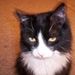 Profile Picture of Kim McPhee (@kimmcphee) on Pinterest