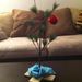 Profile Picture of Brian Nevius (@bruntley2279) on Pinterest