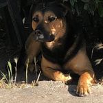 Profile Picture of Michel Couteau (@michelcouteau) on Instagram