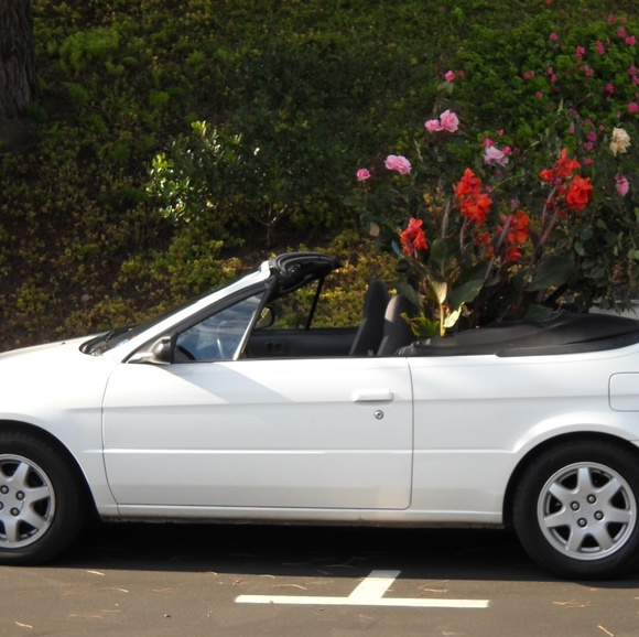 Profile Picture of Sharon Macbeth (@smacbeth901) on Poshmark