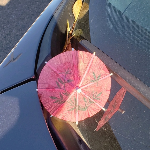 Profile Picture of Jennifer Eichorst (@jle99316) on Poshmark