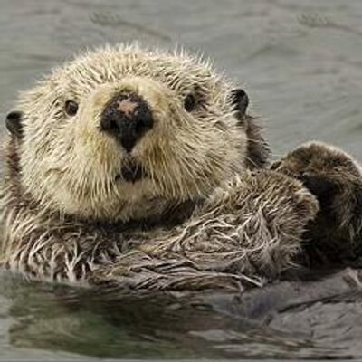 Vicky Gray - Twitter Profile Picture of Vicky Gray (@pinkvicky84) on Twitter