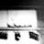 Profile Picture of JI EUN Lim (@JI EUN LIM) on Flickr