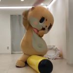 Logan Eller - Instagram Profile Picture of Logan Eller (@r3dw3irdo) on Instagram