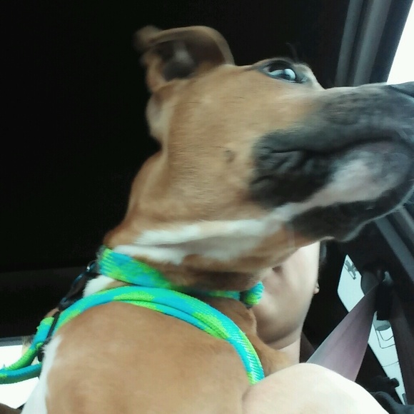 Profile Picture of Mark Becerra (@markb624) on Poshmark