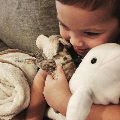 Profile Picture of Barb Gilbert (@BarbReadsBooks) on Twitter