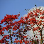 Stephen Fredrickson - Instagram Profile Picture of Stephen Fredrickson (@webgarrex) on Instagram