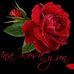 Profile Picture of Vishnu Chowdary Nallamothu (@vishnuchowdary.nallamothu) on Facebook