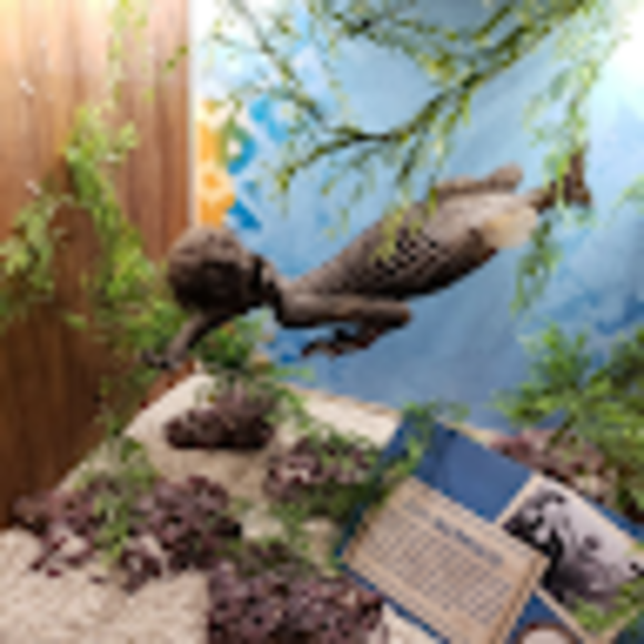 Profile Picture of Josh Ryan (@joshryankc) on Poshmark