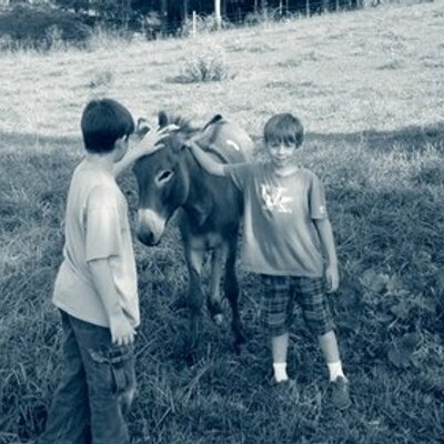 Profile Picture of Libby Campbell (@georgeandlibbie) on Twitter