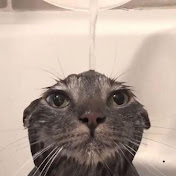 Profile Picture of Luke Kessler (@BigFloppaChopa) on Youtube