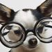 Profile Picture of Jeannie Switzer (@ppnene) on Pinterest
