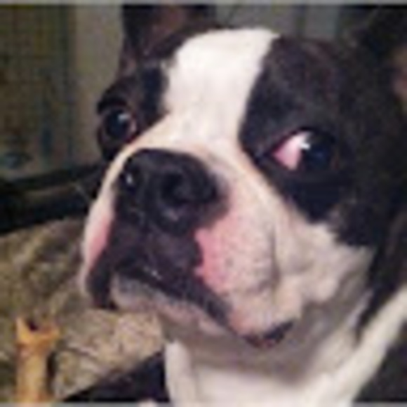 Profile Picture of Nate Woeber (@nwoeber) on Poshmark