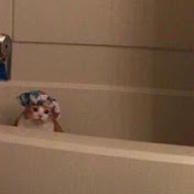 Profile Picture of Maas Huchim Carlos Emmanuel (carlos Maas) (@maashuchimcarlosemmanuelca8397) on Youtube