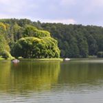 Profile Picture of Troydale (@troydalelamesam7) on Instagram