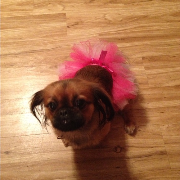 Profile Picture of Mandi Wright (@mandiwtight) on Poshmark