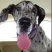 Profile Picture of Ariel Christianson (@ariel1120) on Pinterest