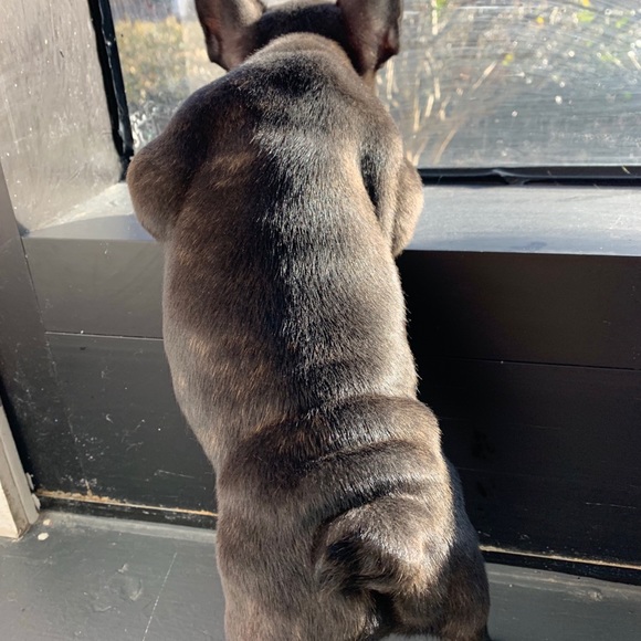 Profile Picture of Nick Mocharnuk (@nickmocharnuk) on Poshmark