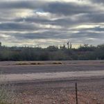 Profile Picture of Eric Malmstrom (@emangroovin) on Instagram