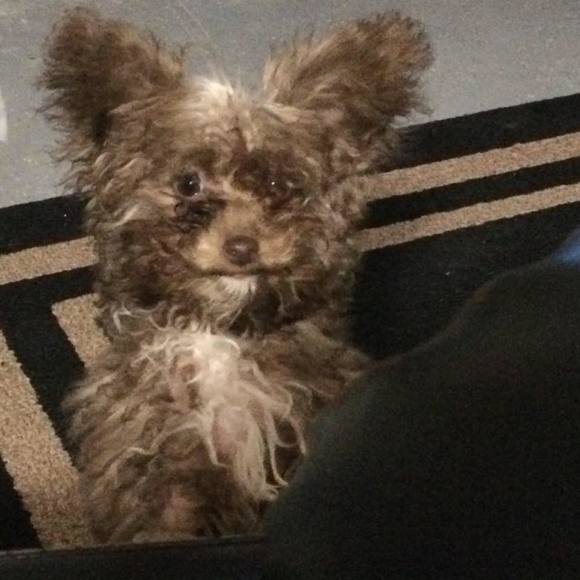 Profile Picture of Lisa Wiginton (@lisajovw) on Poshmark