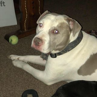 Profile Picture of Kevin T Beebe Jr. (@kevin.beebe.125) on Facebook
