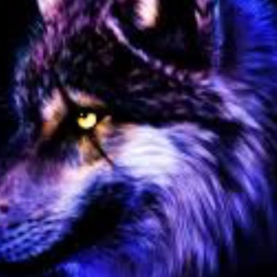 Vaughn Foster - Twitter Profile Picture of Vaughn Foster (@VaughnFoster4) on Twitter