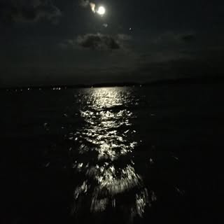 Profile Picture of Blake Chaney (@chaney_blake) on Instagram