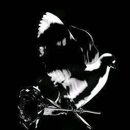 Profile Picture of michaelzapalac (@theinvinciblemz) on Tiktok