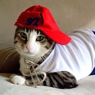 Profile Picture of Alper Önal (@Alperna01086386) on Twitter