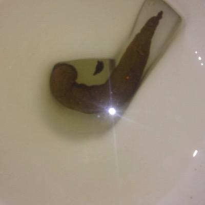 Profile Picture of Steve Patino (@stevepa4) on Twitter