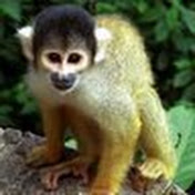 Profile Picture of Ines Rahtz (@inesrahtz4125) on Youtube