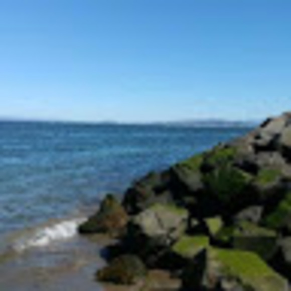 Profile Picture of April Ranta (@aprilreneeranta) on Poshmark