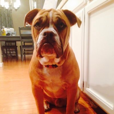 Profile Picture of Jerry Haynes (@CoachChonies) on Twitter