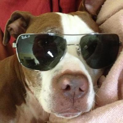 Profile Picture of Mark Whitby (@MarkCWhitby) on Twitter