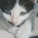 Profile Picture of Pia Chi (@piachimey) on Facebook