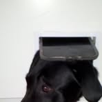 Profile Picture of Jasmine Waring (@jasmine.waring.1) on Facebook