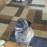 Profile Picture of Alex Fain (@alex853853853) on Instagram