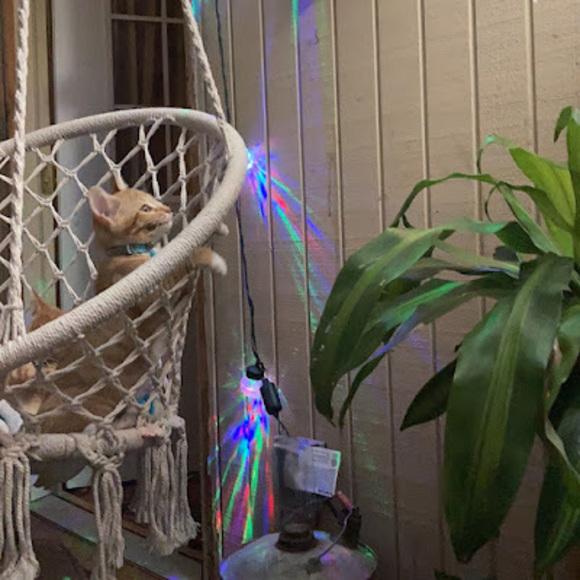 Profile Picture of Bo Mccrobie (@bomccrobie) on Poshmark