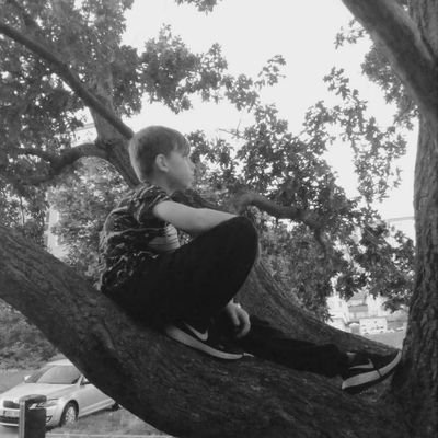 Profile Picture of Daniel Hochman (@DanielHochman3) on Twitter