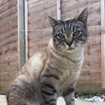 Profile Picture of sam r-m (@samarudkinmillichamp) on Instagram