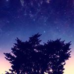 Profile Picture of Daniel Gooder (@danielgooder) on Instagram