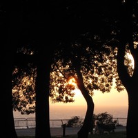 Profile Picture of Hunter Wiley (@hunter-wiley-5) on Quora